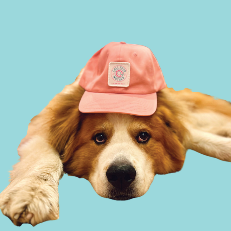 Image of Pink Dial Logo Hat